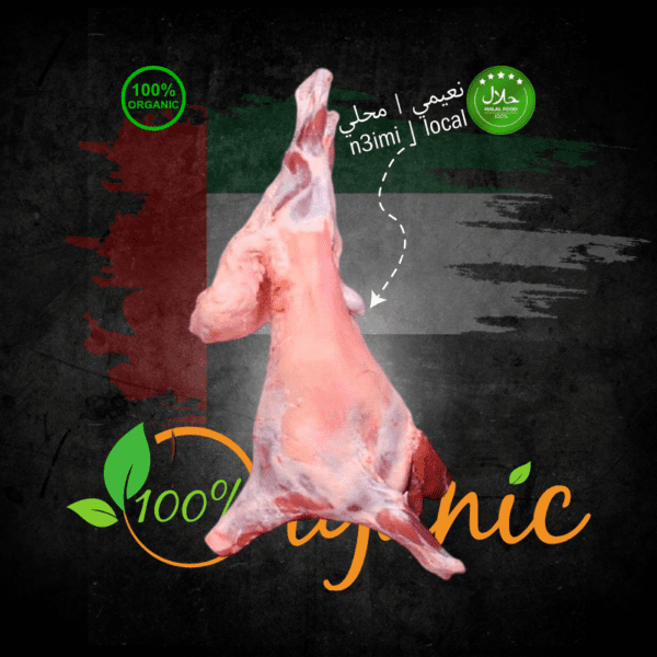 N3IMI | LOCAL