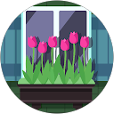 Mostafa Mahmoudi profile picture