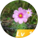 Liu Zhuoran profile picture