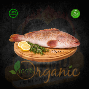 Home Hamour - 1 Piece