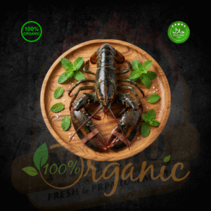 Home Lobster Canada - 1kg