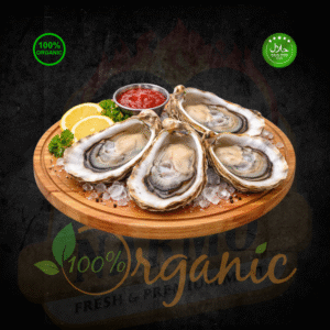 Live Oyster - 1 Piece