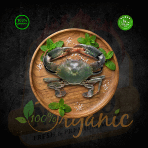 Home Mud Crab - 1.5kg