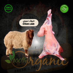 Home SYRIAN LAMB
